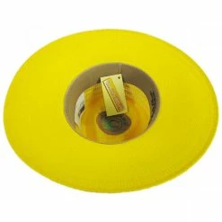 CHARLIE 1 HORSE Mariachi Toyo Straw Fedora Hat -Brixton Hats Shop 391886