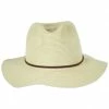 Brixton Hats Wesley Braided Toyo Straw Fedora Hat 1 Brixton Hats Wesley Braided Toyo Straw Fedora Hat -Brixton Hats Shop 399669