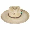CHARLIE 1 HORSE Teepee Wide Brim Palm Straw Fedora Hat -Brixton Hats Shop 436058