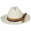 Biltmore Vintage Couture Heart Bangora Straw Western Hat